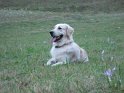 Moldova 2009 021